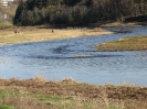tvertsa_05_12_30